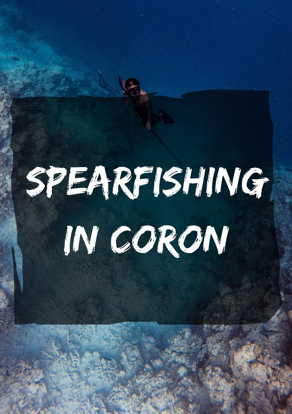 Pesca submarina en Coron