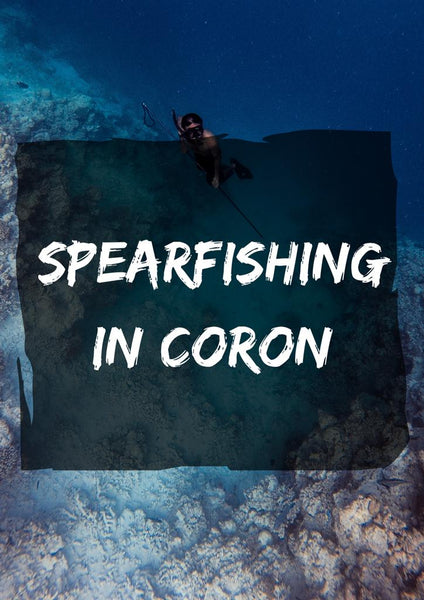Spearfishing in Coron and El Nido, Palawan