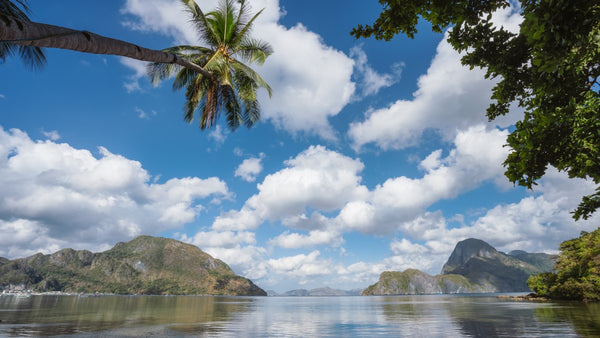 Guía definitiva para descubrir Palawan, Filipinas